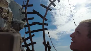 Riding Expedition Everest at Disney's Animal Kingdom