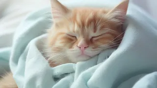 Music for Nervous Cats - Soothing Sleep Music, Deep Relaxation Music For Your Pet