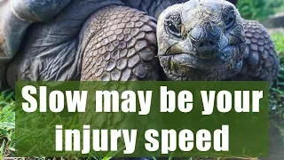 Slow may be your injury speed