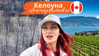 КЕЛОУНА, Канада: Туризм, Природа, Лесные Пожары, Ферма с Кенгуру