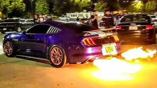 Fire Breathing Mustang TERRORIZES The JDM Car Meet!