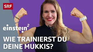 EMS oder Aurum: Reichen drei Minuten Training, um mehr Muskeln zu bekommen? | Einstein² | SRF