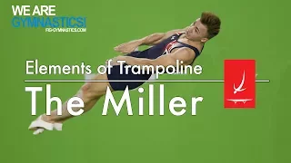 Elements of Synchronised Trampoline - THE MILLER