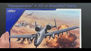 Warthog A-10C from "Great Wall Hobby". A novelty in 1/48 scale.