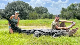 BIGGEST Alligator I Have Ever Caught!  12 PLUS Foot Giant!