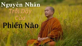 Phiền Não Chỉ Trỗi Dậy Khi… - Thiền Sư Thích Minh Niệm | Phật Pháp Tăng