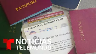 Estoy a la espera de mi green card, ¿cuánto puede tardar? | Noticias Telemundo