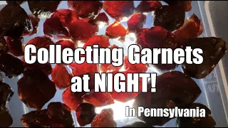 Collecting Garnet GEMS at NIGHT in Delaware County, Pennsylvania