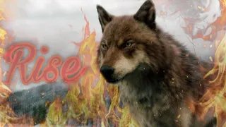 Twilight Wolves:"Rise:League Of Legends"(Music Video)