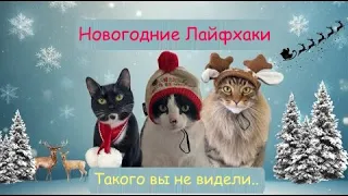 Новогодние Лайфхаки ТОП 10   Как защитить елку на Новый год от кота