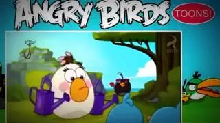 Angry Birds Toons HD Episodes: Shrub it in