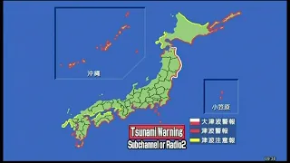 2010年2月28日 大津波警報報道