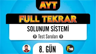 Solunum Sistemi Test Soruları AYT Full Tekrar Biyoloji F10 Serisi