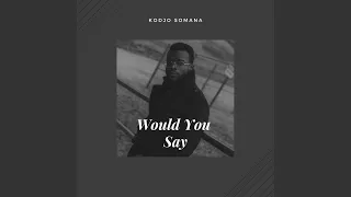 Would You Say (feat. Olya Gram)