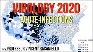 Virology Lectures 2020 #16: Acute Infections