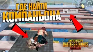 СРОЧНО ОБНОВА 0.12.5 PUBG MOBILE | ГДЕ НАЙТИ КОМПАНЬОНА И КАК АКТИВИРОВАТЬ В ПУБГ МОБАЙЛ СКОРПИОН