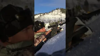 7mm REM MAG VS Mule Deer @714 Yards