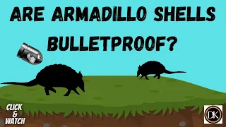 Are Armadillo shells bulletproof ? | True facts about the Armadillo