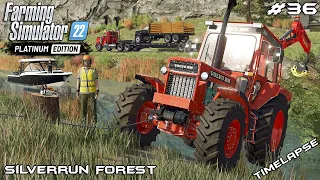 Removing BEAVER DAM with FORESTRY EQUIPMENT | Silverrun Forest | FS22 Platinum Edition | Episode 36