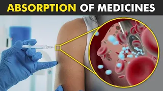 How Medicines Get Absorbed By Human Body?