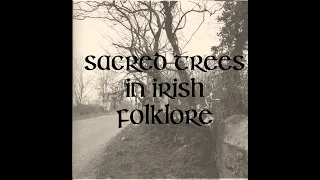 Sacred Trees in Irish Folklore and Mythology