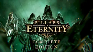 [Pillars of Eternity: Complete Edition] [PS4 PRO] [PS Now] [Первый запуск]