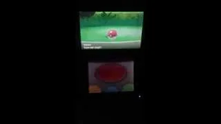 Catching Female Eevees in Pokemon X & Y