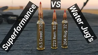 6.5 Creedmoor vs 223 vs 204 vs Water Jug's.