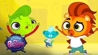 Littlest Pet Shop - 'If You're a Guy' Official Music Video