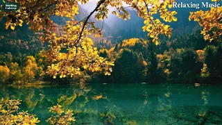 Relaxing Music | Sleeping Music | Study Music | Calm Music | Zen Music | Nature Sounds | Piano Music