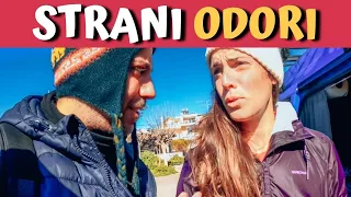 CI SUCCEDONO COSE STRANE 🌎 Vlog Road to Asia