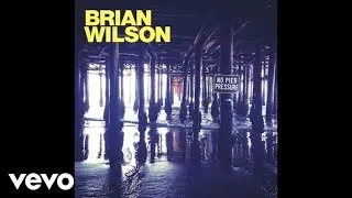 Brian Wilson - One Kind Of Love (Audio)