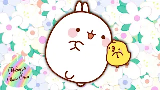 Molang - Best of Best Songs ! 🎵💃 | More @MolangCartoon ⬇️ ⬇️ ⬇️