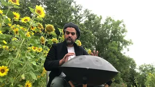 SOUNDFLOWERS (Sadoo) - handpan D amara