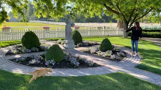 Heat Wave Garden Tour 🌿🥵☀️ // Garden Answer