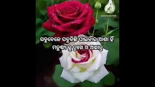 Odia motivational shayari#motivation #quotes