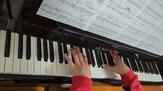 Chopin 24 Preludes, Op.28-15 (Raindrop) Day67