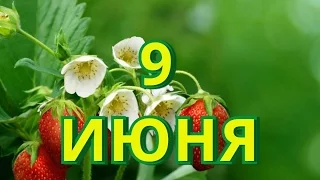 9 июня день друзей и другие праздники...