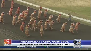 T-Rex race at casino goes viral