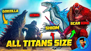 Shimo Size Comparison vs Godzilla + Kong + Scar King || Shimo Titan Heigh || Godzilla X Kong