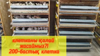 Жаңа бөдене "клеткасы"/клетканы жасау оңайма?!