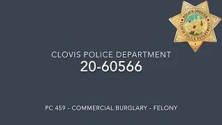 Commercial Burglary 20-60566