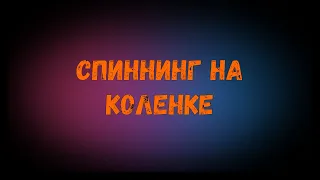 Все для спиннинга: самые бюджетные катушки для лайт и ультралайт спиннинга.