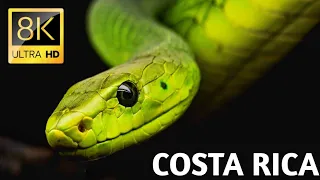 COSTA RICA IN 8K 60fps (ULTRA HD)