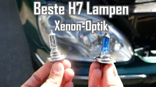 Die besten H7 Lampen im Xenonlook || Maruta H7 Leuchtmittel Xenon-Optik