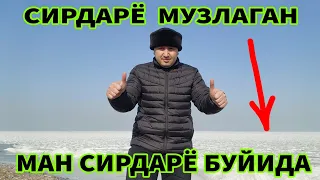 СИРДАРЁ  МУЗЛАДИ  МАНА  КУРИНГ