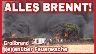 🔥FELDBRAND in Leipzig gerät außer Kontrolle🔥FEUERWALZE vernichtet Gartenverein❗️Großeinsatz🚒🚨