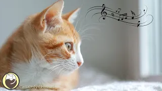 Music for Cats - Peaceful Piano Music to Calm and Relax Cats