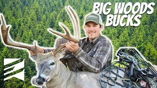 Aggressively Hunting and Scouting Mature Bucks in the Big Woods: Kevin Bolder
