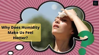 Why Does Humidity Make Us Feel Hotter? || THE A TEAM ||